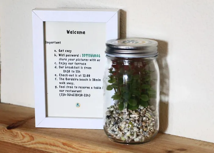 Alojamento de Acomodação e Pequeno-almoço Cato Carrapateira